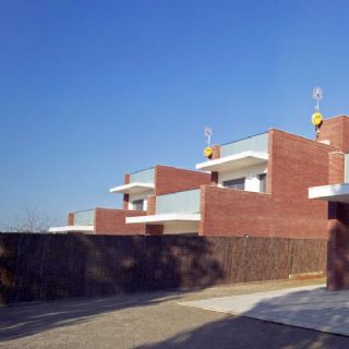 Mirasol Illa XII