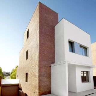 Mirasol Illa XII