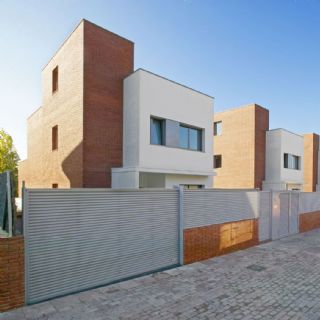 Mirasol Illa XII