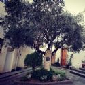 SANT POL DE MAR : Residencial Tobella, Barcelona